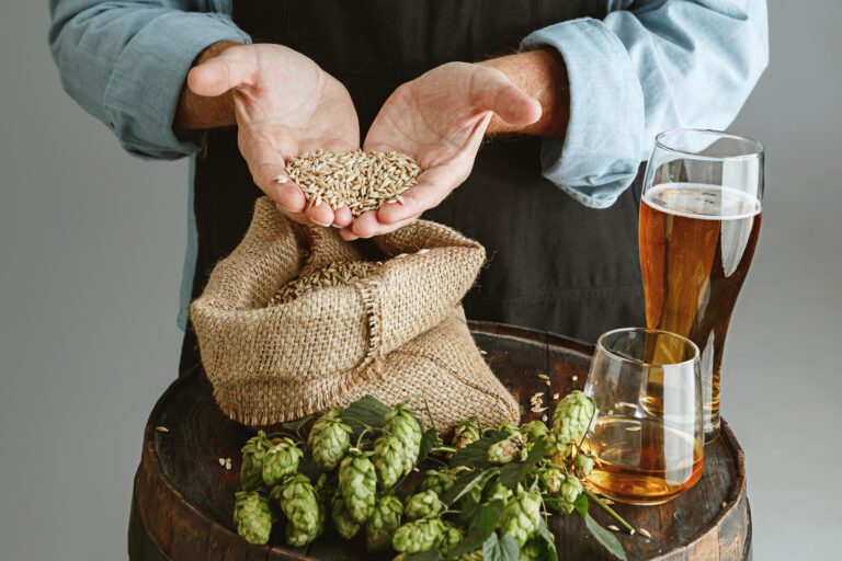 Affordable Ways to Explore Home Brewing as Hobby